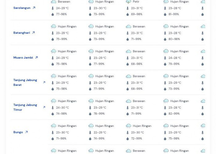 Prakiraan Cuaca Jambi 20 2026: Hujan Ringan Dominasi, Sejumlah Wilayah Berpotensi Petir