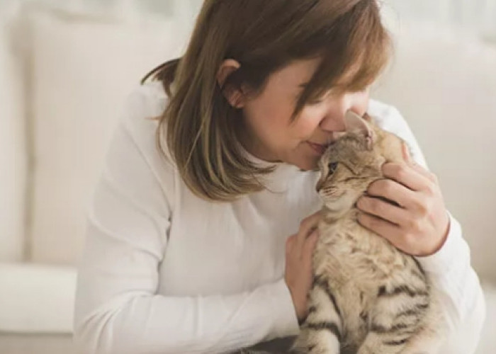 Bulu Kucing Bisa Jadi Sumber Penyakit? Ini Faktanya! 