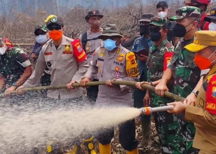 Kebakaran Gambut Tanjabtim Capai 86 Hektare, Asap Masih Mengepul