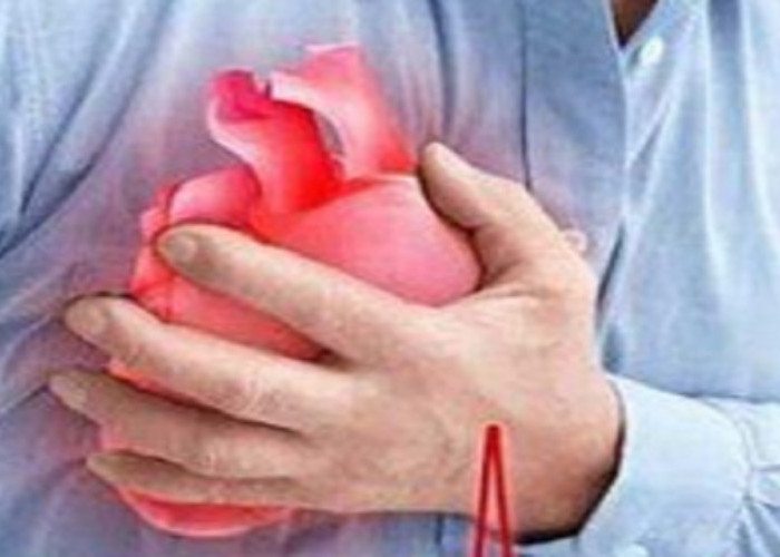 Bahaya Serangan Jantung Saat Mudik Lebaran Idul Fitri 2024