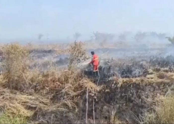 Luas Karhutla di Muaro Jambi Bertambah, Kini Capai 577,71 Hektare