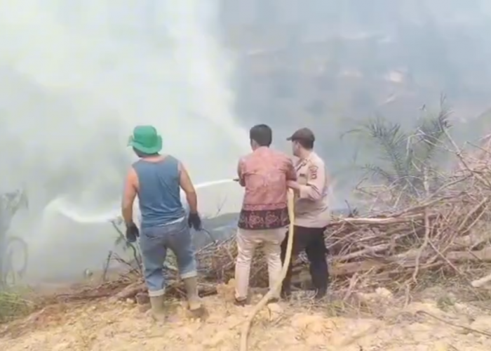 Polsek Merlung Temukan Lahan Seluas 2 Hektare Terbakar di Desa Muara Danau