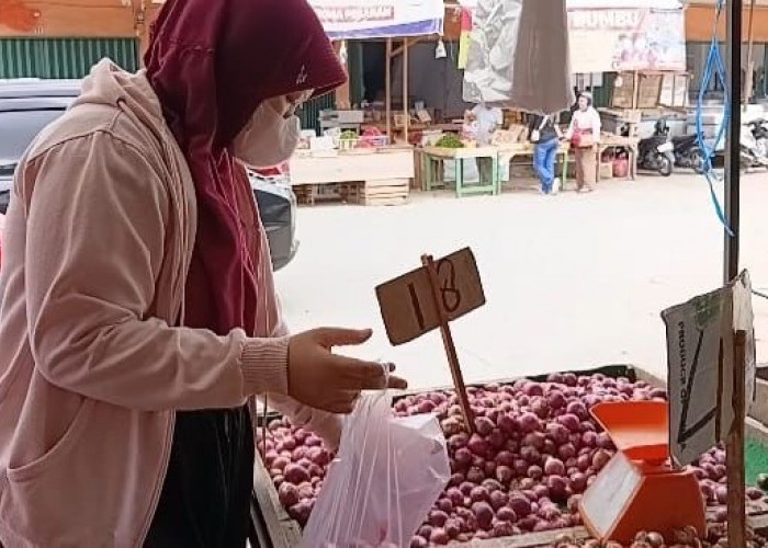 Harga Bahan Pokok di Kota Jambi 30 Januari 2026 Masih Terkendali, Cabai Rawit Alami Kenaikan