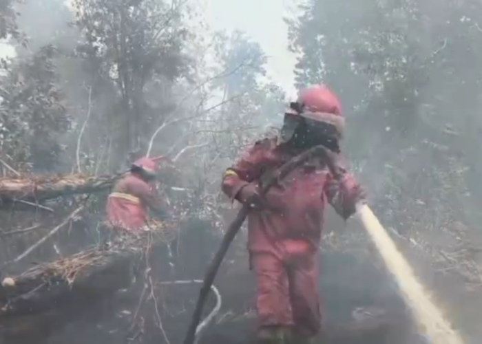 Dua Pekan Terbakar, Petugas Masih Berjibaku Padamkan Karhutla di Tanjabtim