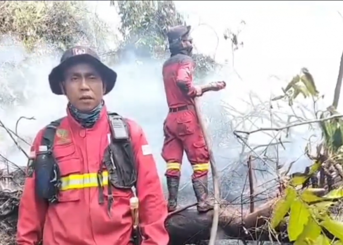 Manggala Agni dan Tim Gabungan Tembus Vegetasi Rapat, Pemadaman Karhutla Terus Berlanjut