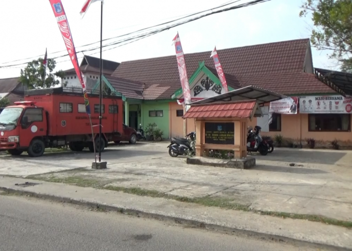 Kasus Karhutla, BPBD Sebut 667,55 Hektare Lahan Terbakar hingga 30 September