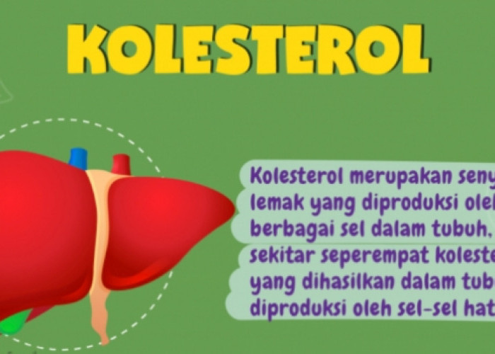 Pentingnya Memahami Jenis-Jenis Kolesterol dan Dampaknya pada Kesehatan