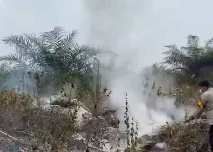 Tiga Hotspot Terdeteksi di Renah Mendaluh, Petugas Temukan Lahan Terbakar Seluas Satu Hektare