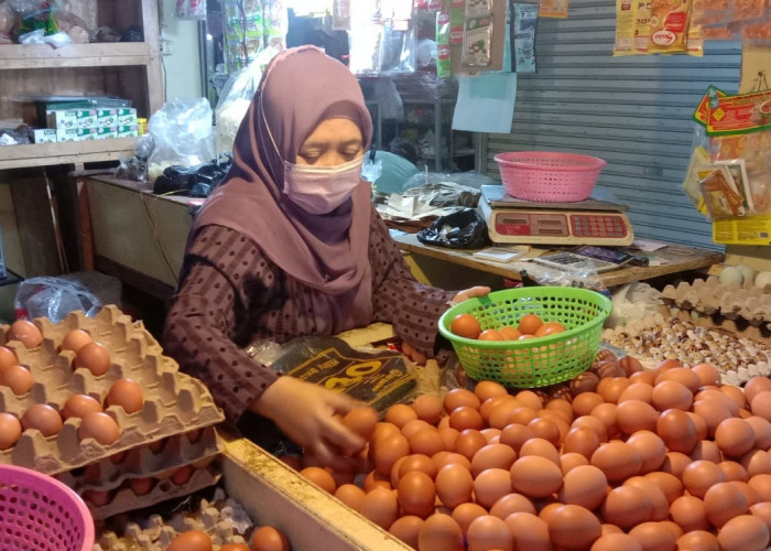 Pasokan Aman, Harga Telur Ayam Ras di Kota Jambi Bertahan Stabil Tinggi