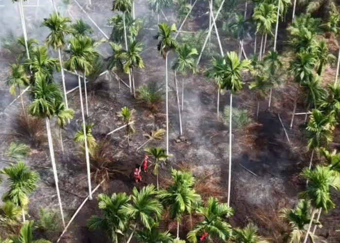 Tim Satgas Karhutla Padamkan Api di 1 Hektare Lahan Desa Muntialo