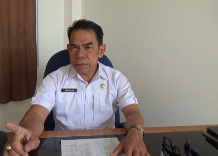 Harga Cabai Merah Rp80 Ribu per Kilogram, Diskoperindag Tanjab Barat Rutin Pantau Pasar