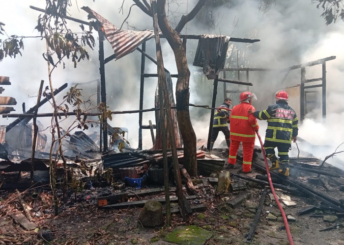 Bakar Kardus untuk Usir Nyamuk, Rumah Non Permanen di Jambi Timur Terbakar