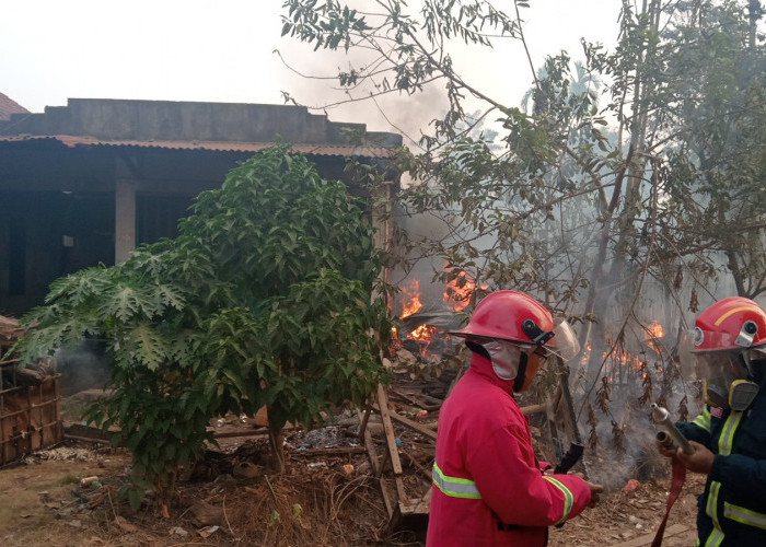Rumah Semi Permanen di Paal Merah Terbakar, Kerugian Ditaksir Rp50 Juta
