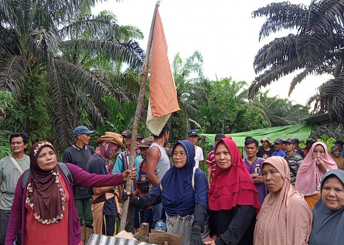 Hingga Surat kementerian ATR/BPN Turun, konflik Lahan di Desa Sumber Jaya Kabupaten Muaro Jambi Belum Selesai