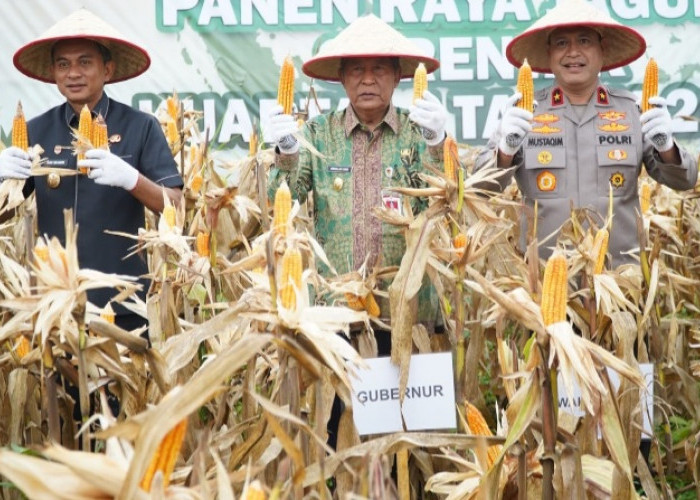 Wagub Sani Dukung Program Perkuat Kedaulatan Pangan Daerah dan Nasional