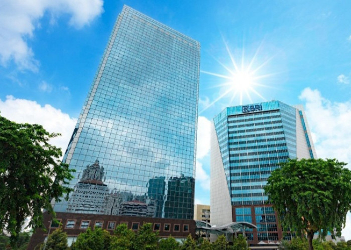 Lebih Dari Dua Dekade Melantai di Bursa Efek Indonesia, Harga Saham BBRI Telah Naik 48 Kali