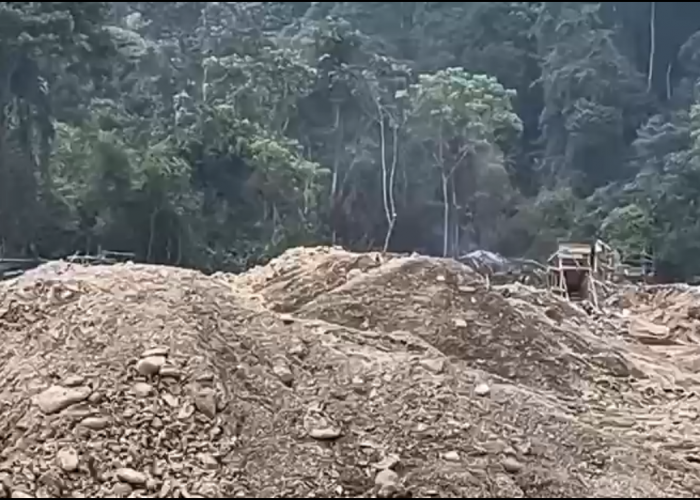 Tambang Emas Ilegal Marak di TNKS dan Tanah Ulayat, Kerusakan Ekologi Mengancam