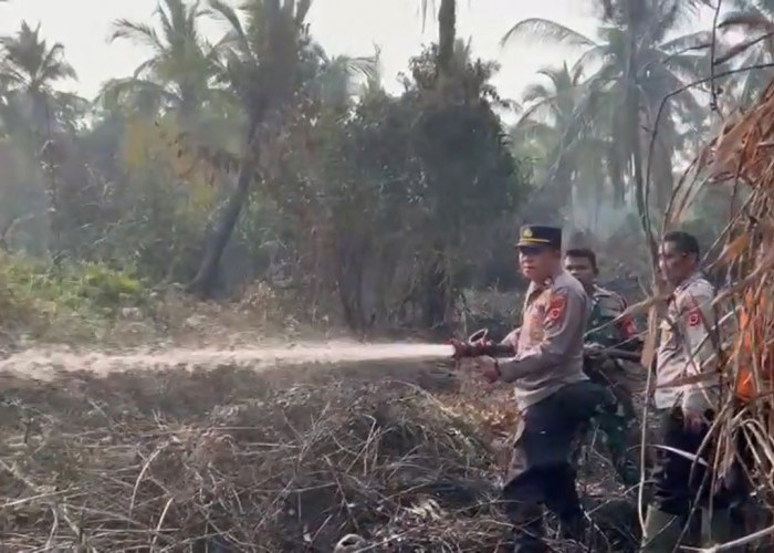 Polsek Tungkal Ilir Padamkan Karhutla di Pembengis, Setengah Hektare Lahan Terbakar