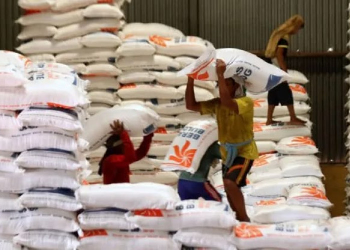 Kepala Bapanas Memastikan El Nino tak mengusik ketahanan pangan RI