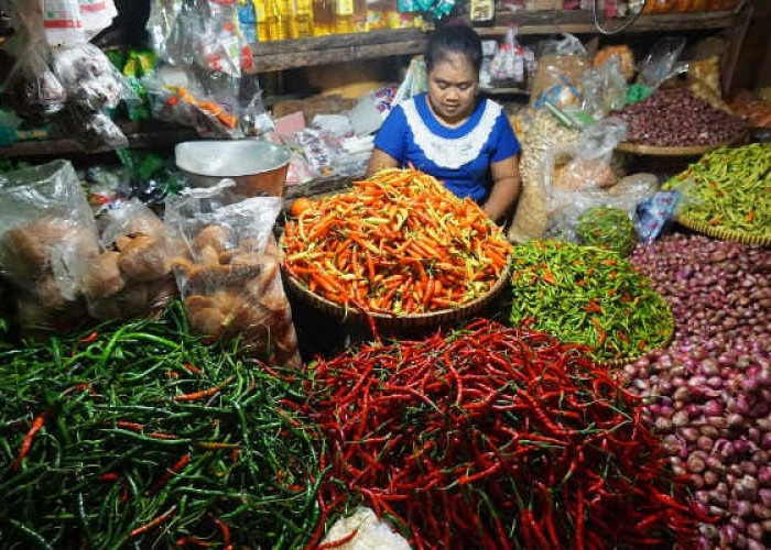 Update Harga Cabai di Kota Jambi: Komoditas Cabai Merah Cenderung Stabil