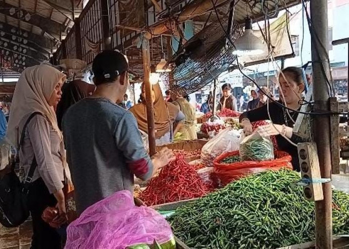 Harga Bahan Pokok di Kota Jambi Alami Fluktuasi pada Komoditas Cabai