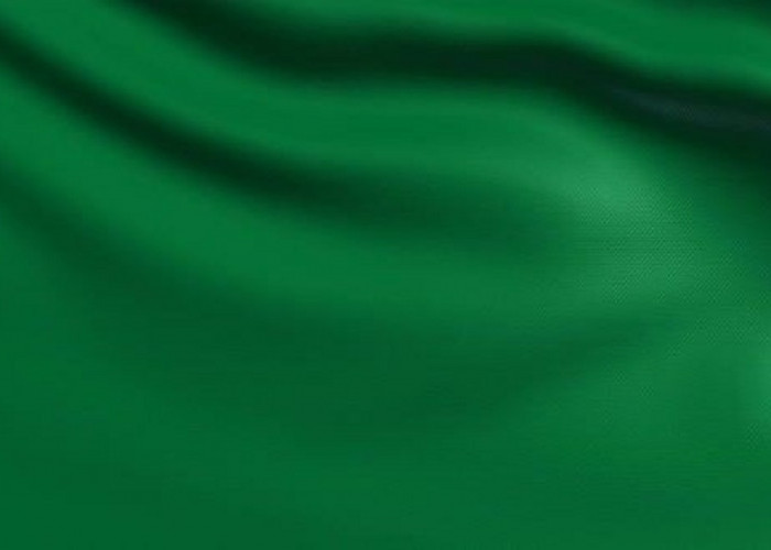 Bukan Hanya Green Flag, Istilah Ini Kerap Digunakan oleh Penggemar Drakor
