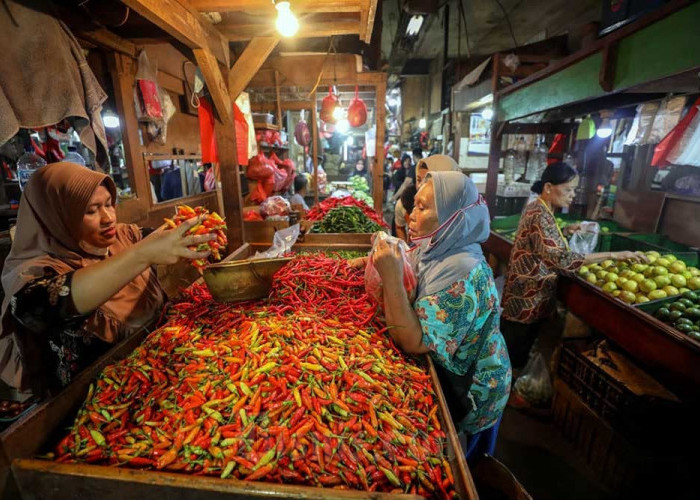 PIHPS: Harga cabai rawit Rp47.300/kg, telur ayam Rp30.350/kg