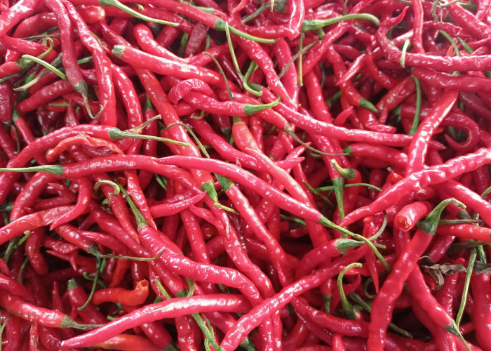 Harga Bahan Pokok 12 Maret 2026, Cabai Merah Alami Kenaikan