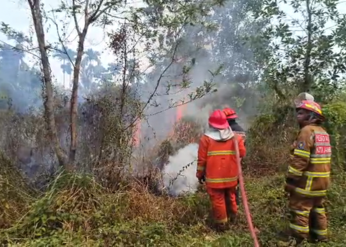 Bakar Sampah Ditinggal, Api Meluas Hanguskan 850 Meter Persegi Lahan di Kota Jambi