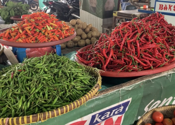 Harga Cabai di Pasar Aurduri Bertahan, Cabai Rawit Dijual Rp60 Ribu per Kilogram