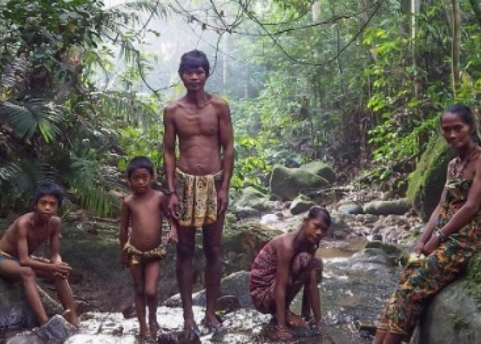 Beberapa Budaya Suku Anak Dalam di Jambi yang Masih Terjaga