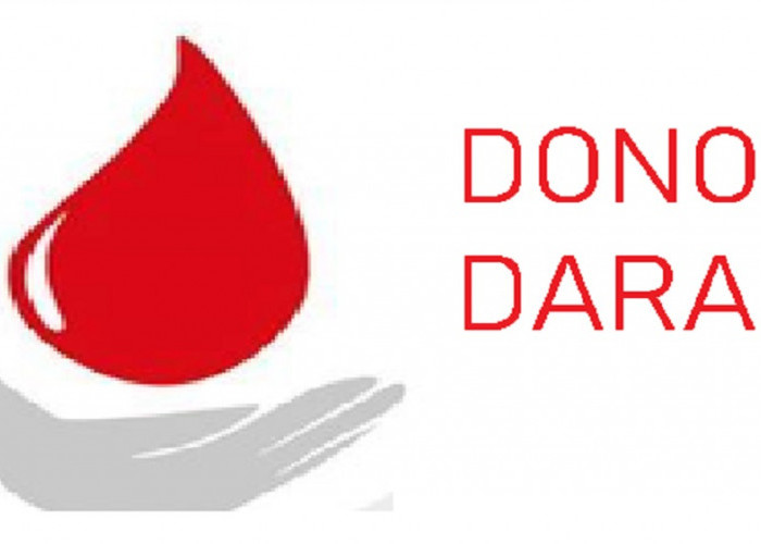 8 Manfaat yang Jarang Diketahui Jika Melakukan Donor Darah, No 2 dapat Pengobatan Penyakit Kronis