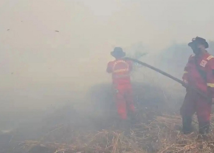 Dana Bantuan Pusat Rp30 Miliar untuk Karhutla Jambi Belum Terserap dan Masih Dibahas di APBD Perubahan