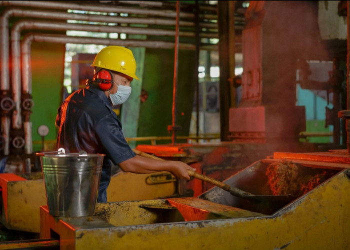 PTPN IV PalmCo Raih PROPER Biru, Perkuat Komitmen Lingkungan dan Transisi Energi Hijau