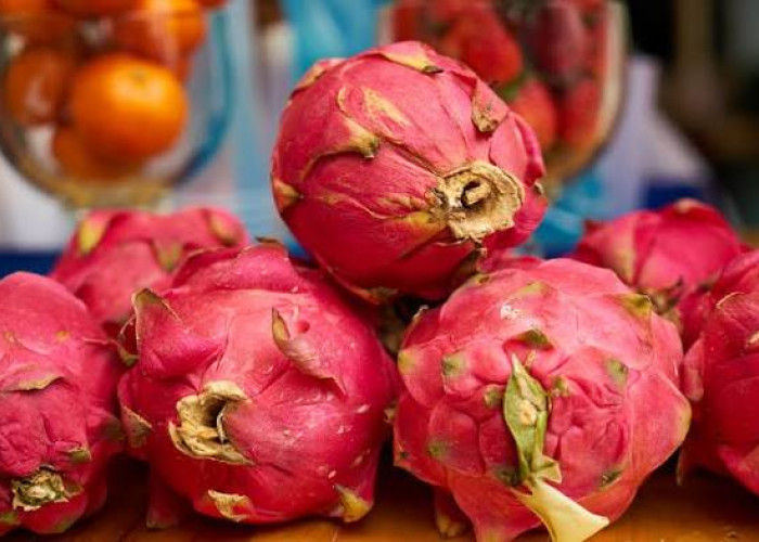 Tak Hanya Enak, Buah Naga Merah Ternyata Punya Banyak Manfaat untuk Kesehatan