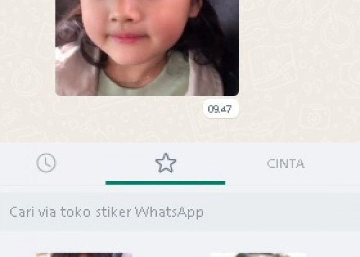 Ekspresi di Balik Stiker Wajah Datar di Chat Whatsapp Antara Wanita dan Lelaki
