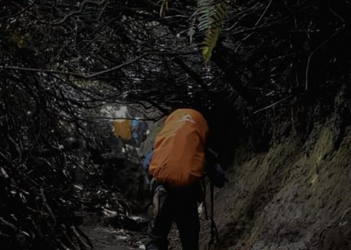 Pendaki Gunung Kerinci di Evakuasi Tim SAR, Yuk Cek Tips Aman Mendaki