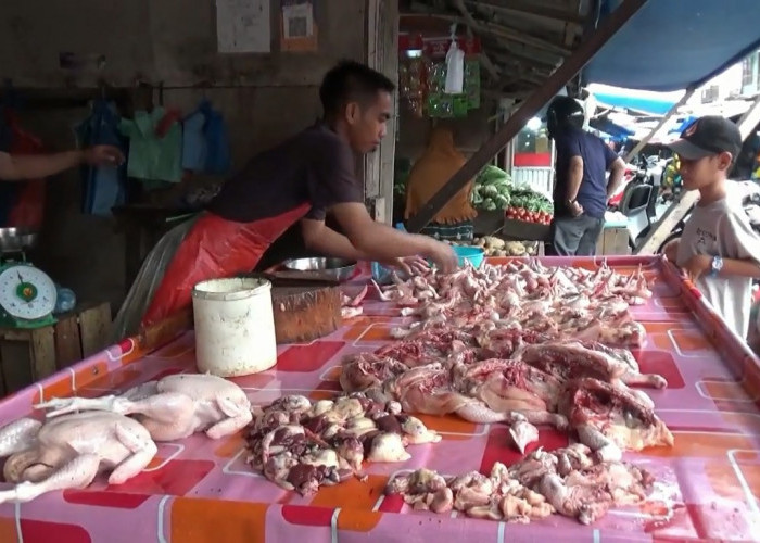 Harga Ayam Potong di Tanjab Barat Naik Jadi Rp42 Ribu per Kilogram