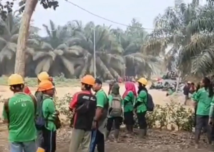 Situasi Tak Kondusif, Eksekusi Lahan PT BSU di Batanghari Terpaksa Ditunda