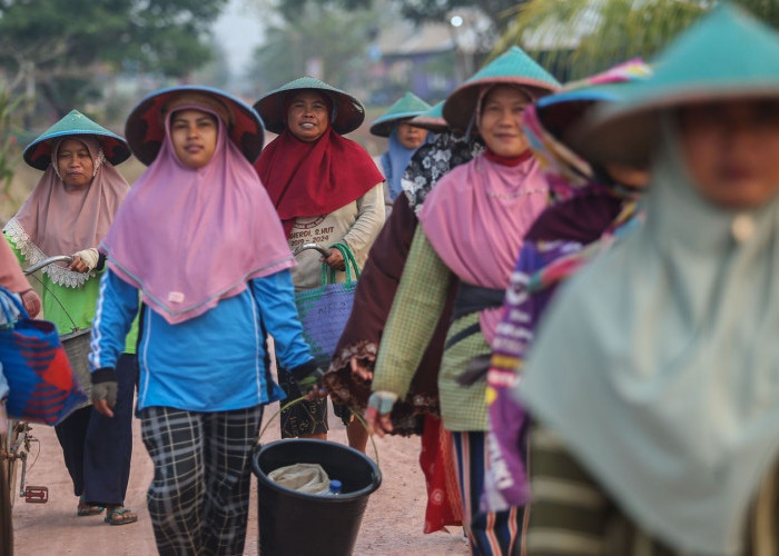 Indeks Bisnis UMKM BRI Triwulan III 2024: Ekspansi Bisnis UMKM Melambat, Perlu Penguatan Daya Beli