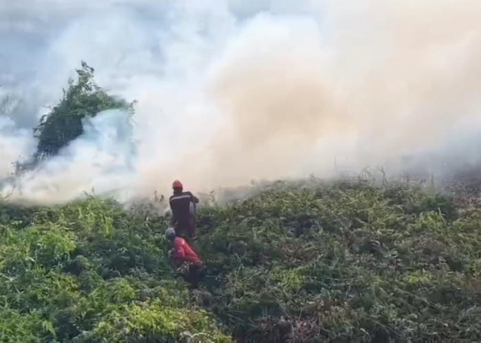 Manggala Agni Berjibaku Padamkan Karhutla di TN Berbak Sembilang