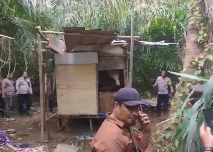 Gubuk Diduga Jadi Tempat Konsumsi Narkoba Digerebek Polisi