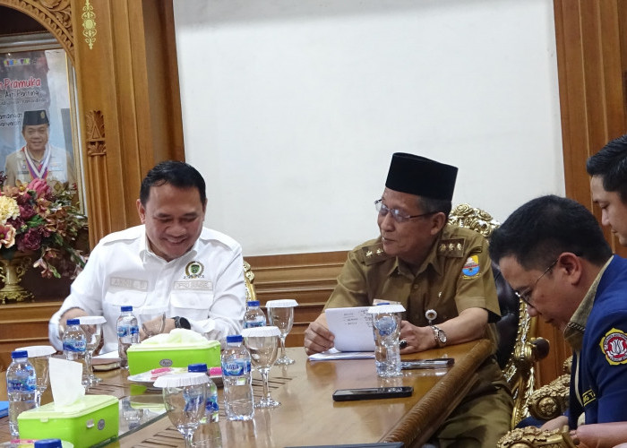 Wagub Sani terima kunker Ketua DPRD Sumsel Andie Dinialdie