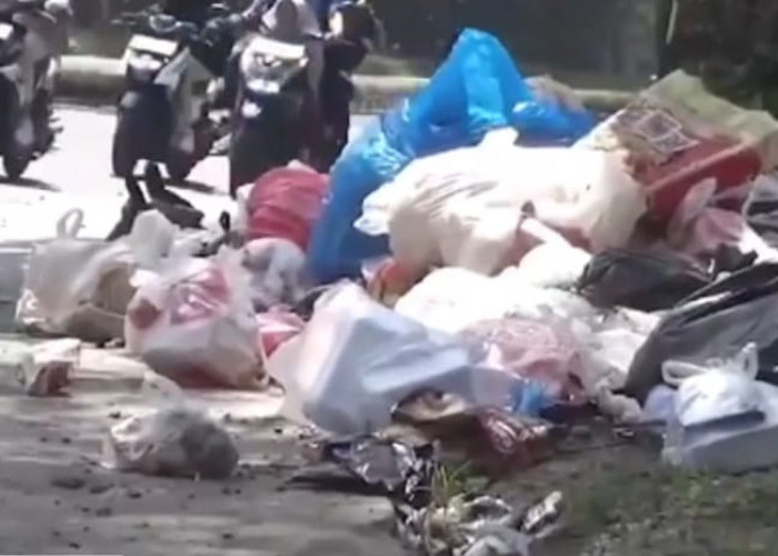 Tumpukan Sampah di Simpang Rimbo, Membuat Warga Merasa Terganggu