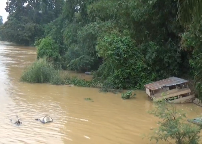 Curah Hujan Tinggi Di Hulu Sungai Berpotensi Kenaikan Air Sungai 