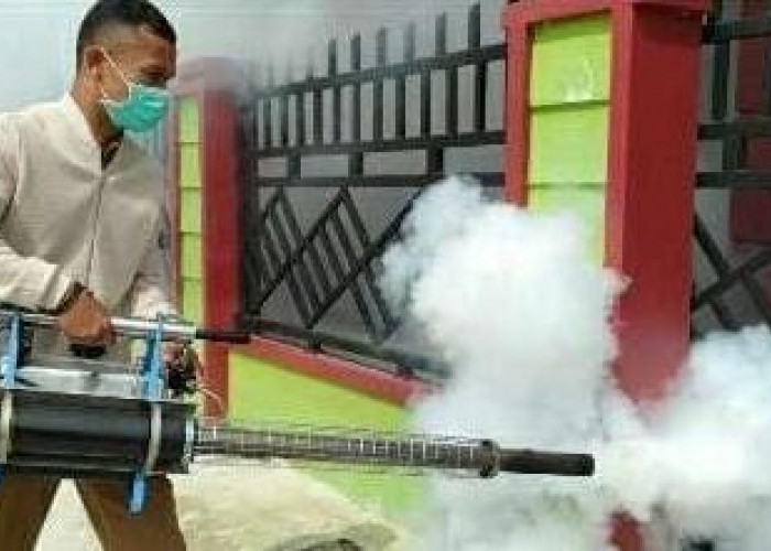 Kasus DBD di Sungai Penuh Melonjak Jadi 88 Kasus Akibat Tingginya Curah Hujan 