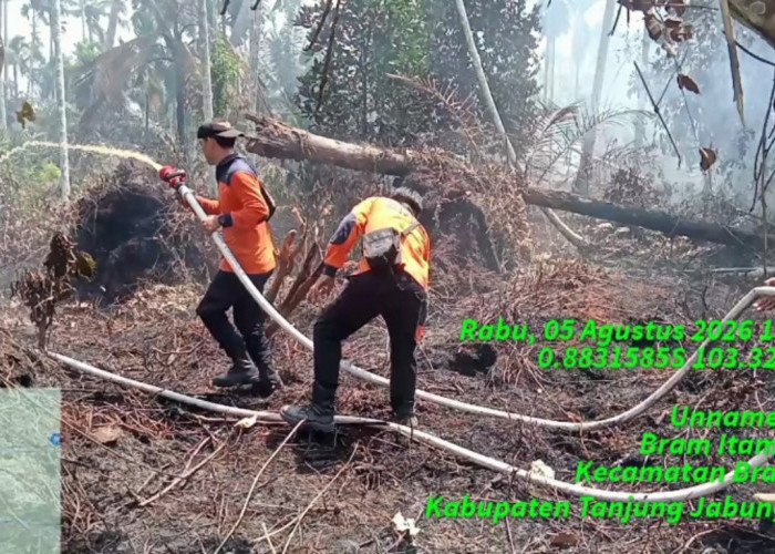 BPBD Catat 109 Hektare Lahan Terbakar di Tanjung Jabung Barat hingga Agustus 2026