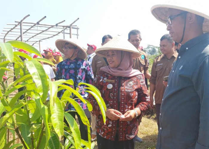 Yayasan AHM Kolaborasi dengan UIN Yogyakarta Kembangkan Eduwisata 