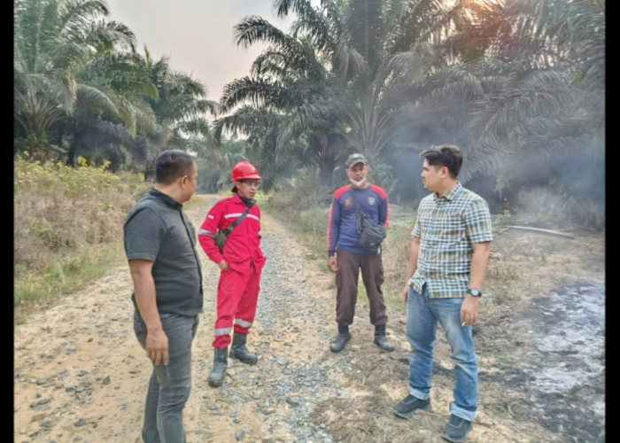 Kabar Viral Kebakaran Jangkos, Polsek Merlung Cek Lokasi di PT IIS