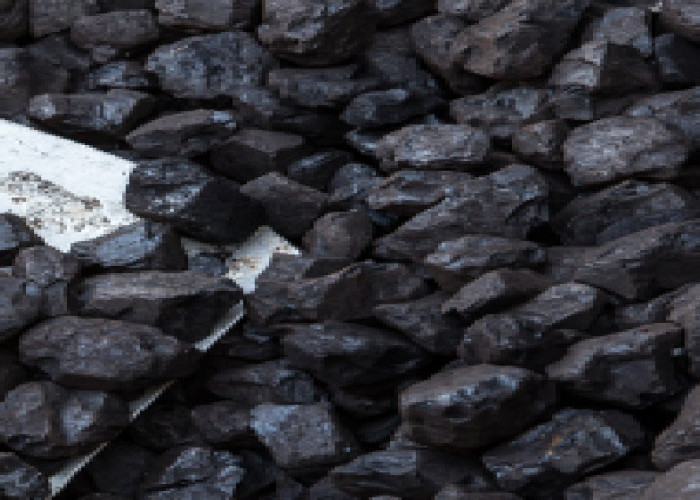 Menjelajahi Kandungan Batubara Sebagai Pembangkit Listrik Tenaga Uap Mulut Tambang (PLTU-MT)
